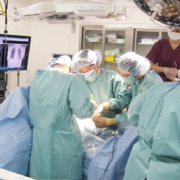 初期研修医募集